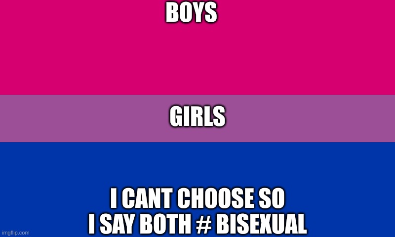 Girls or Boys | BOYS; GIRLS; I CANT CHOOSE SO I SAY BOTH # BISEXUAL | image tagged in bi flag | made w/ Imgflip meme maker