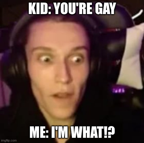 KID: YOU'RE GAY; ME: I'M WHAT!? | image tagged in ha gay,gay,funny meme | made w/ Imgflip meme maker