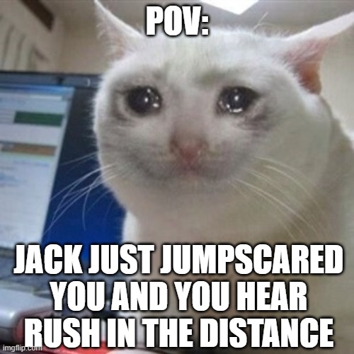 i bet you relate to this | POV:; JACK JUST JUMPSCARED YOU AND YOU HEAR RUSH IN THE DISTANCE | image tagged in crying cat | made w/ Imgflip meme maker