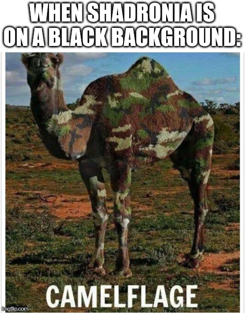 Camelflage | WHEN SHADRONIA IS ON A BLACK BACKGROUND: | image tagged in camelflage | made w/ Imgflip meme maker