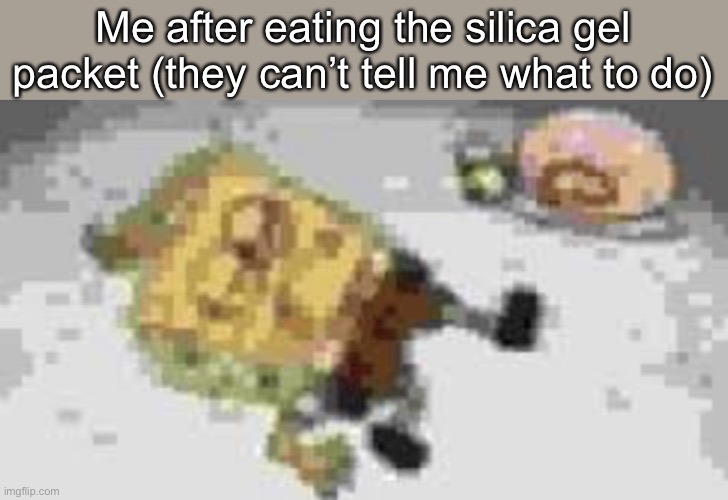 Kid named tyler | Me after eating the silica gel packet (they can’t tell me what to do) | image tagged in kid named tyler | made w/ Imgflip meme maker