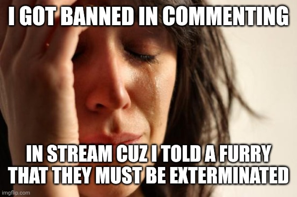 >:( | I GOT BANNED IN COMMENTING; IN STREAM CUZ I TOLD A FURRY THAT THEY MUST BE EXTERMINATED | image tagged in memes,first world problems | made w/ Imgflip meme maker