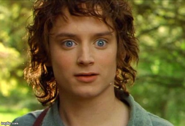 Surpised Frodo Meme | image tagged in memes,surpised frodo | made w/ Imgflip meme maker