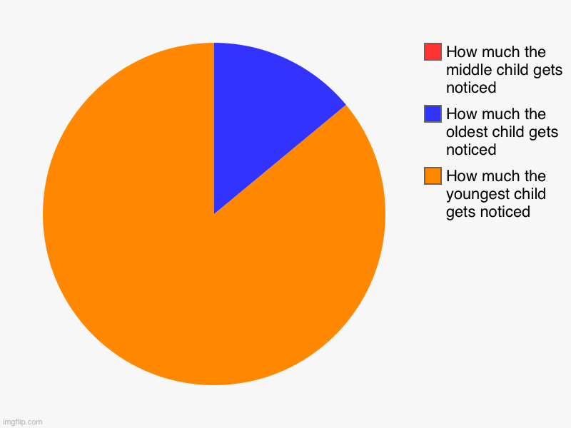 Lol | How much the youngest child gets noticed , How much the oldest child gets noticed , How much the middle child gets noticed | image tagged in charts,pie charts | made w/ Imgflip chart maker