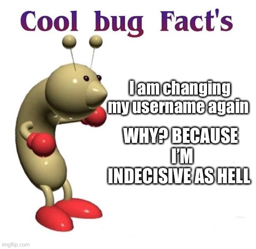 Idk what to change it to tho lmao | I am changing my username again; WHY? BECAUSE  I’M INDECISIVE AS HELL | image tagged in cool bug facts | made w/ Imgflip meme maker