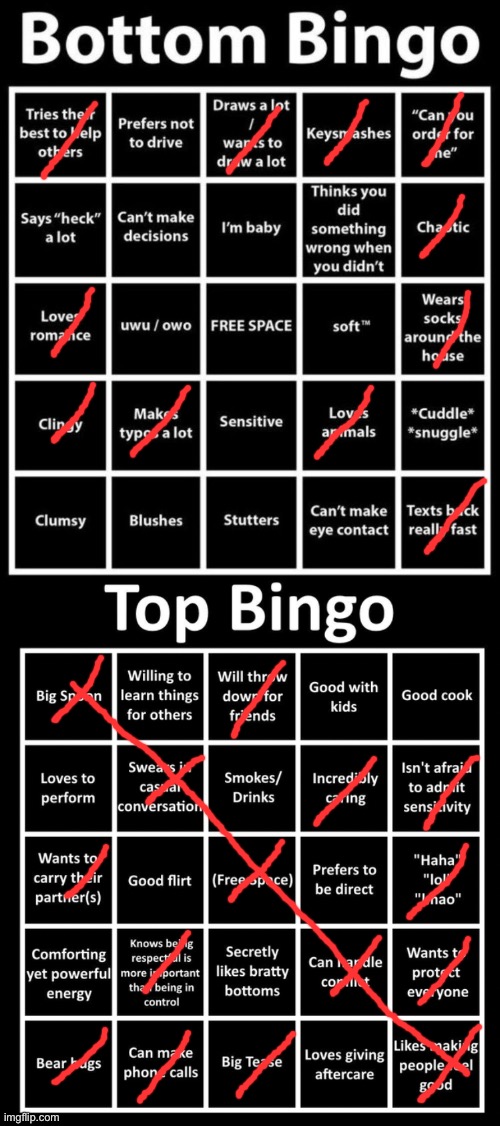 did both lol | image tagged in bottom bingo,top bingo | made w/ Imgflip meme maker