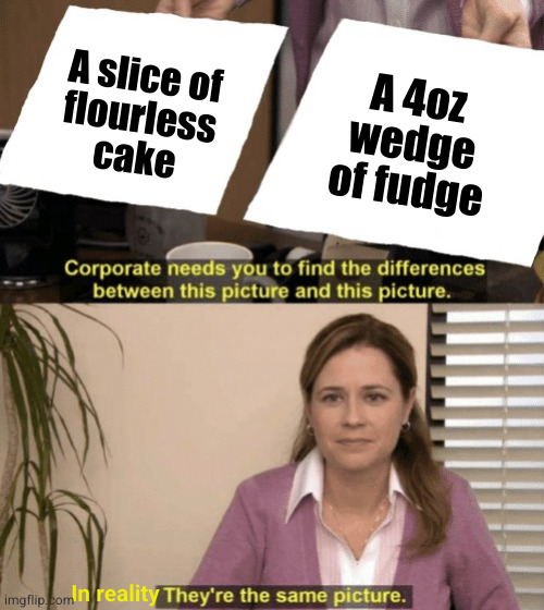 Okay fudge doesn't have eggs but other than that they're the same damn thing | A slice of
flourless
cake; A 4oz
wedge
of fudge; In reality | image tagged in corporate needs you to find the differences | made w/ Imgflip meme maker