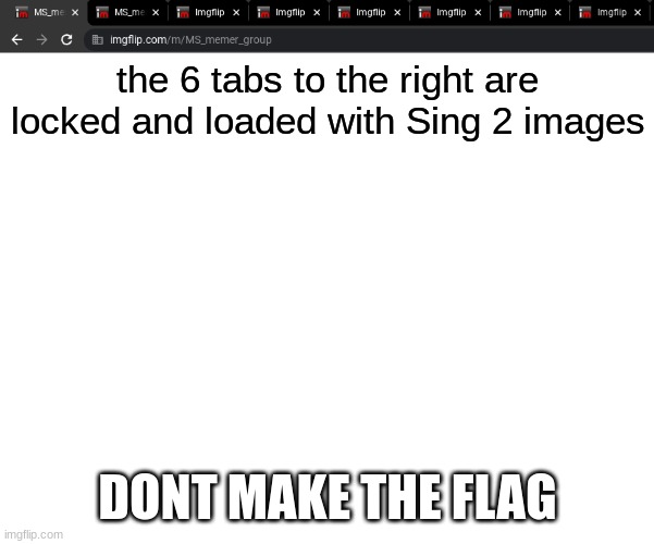 the 6 tabs to the right are locked and loaded with Sing 2 images; DONT MAKE THE FLAG | made w/ Imgflip meme maker