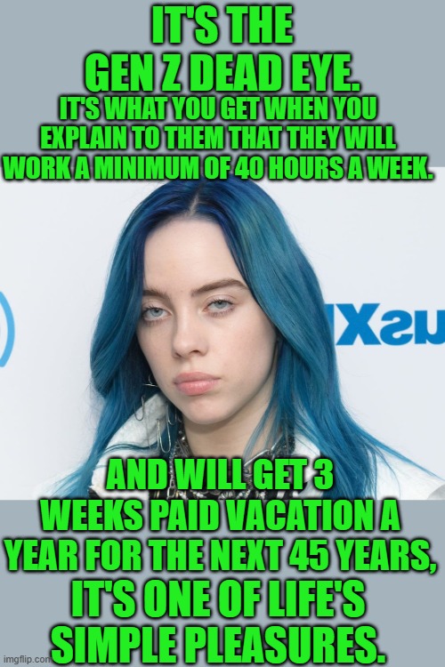 yep | IT'S THE GEN Z DEAD EYE. IT'S WHAT YOU GET WHEN YOU EXPLAIN TO THEM THAT THEY WILL WORK A MINIMUM OF 40 HOURS A WEEK. AND WILL GET 3 WEEKS PAID VACATION A YEAR FOR THE NEXT 45 YEARS, IT'S ONE OF LIFE'S SIMPLE PLEASURES. | image tagged in gen z | made w/ Imgflip meme maker