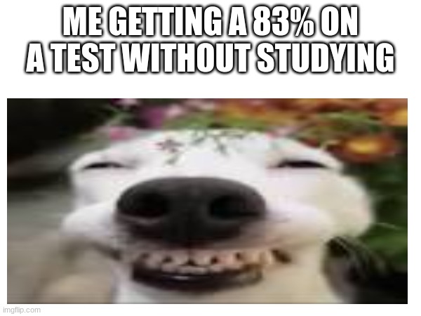 Lol | ME GETTING A 83% ON A TEST WITHOUT STUDYING | image tagged in memes | made w/ Imgflip meme maker
