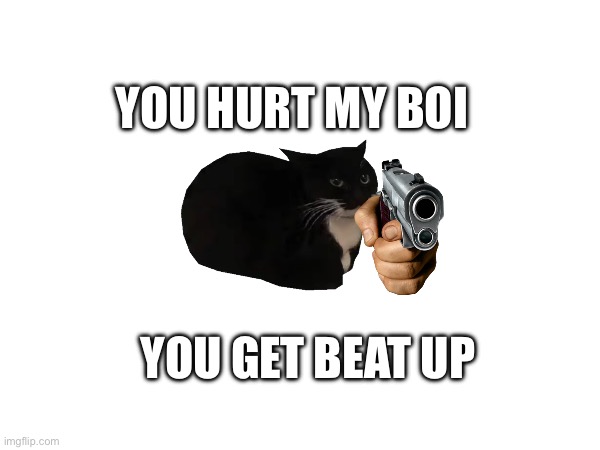 YOU HURT MY BOI; YOU GET BEAT UP | image tagged in maxwell,cats | made w/ Imgflip meme maker