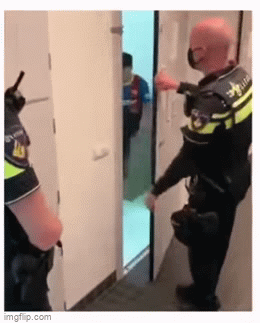 7bh01x.gif