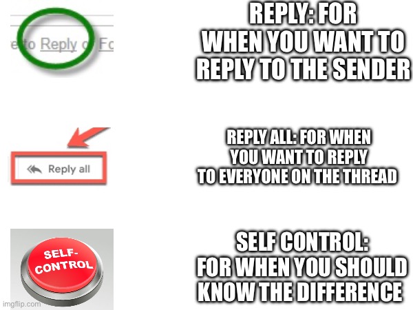 Reply, reply all | REPLY: FOR WHEN YOU WANT TO REPLY TO THE SENDER; REPLY ALL: FOR WHEN YOU WANT TO REPLY TO EVERYONE ON THE THREAD; SELF CONTROL: FOR WHEN YOU SHOULD KNOW THE DIFFERENCE | image tagged in reply | made w/ Imgflip meme maker