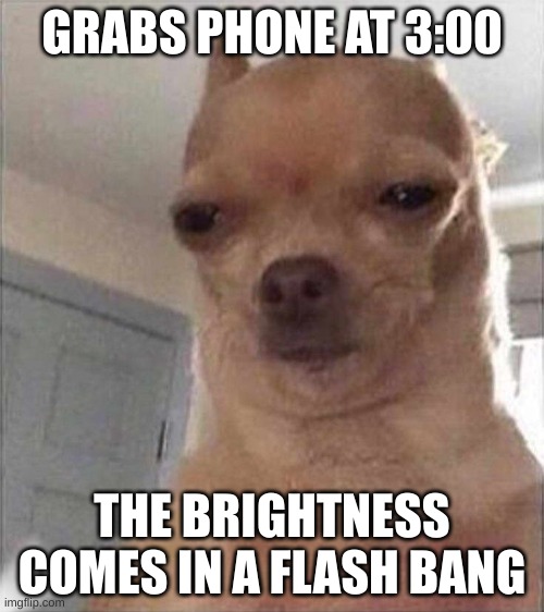 Why does this always happen | GRABS PHONE AT 3:00; THE BRIGHTNESS COMES IN A FLASH BANG | image tagged in chihuahua meme face,relatable | made w/ Imgflip meme maker