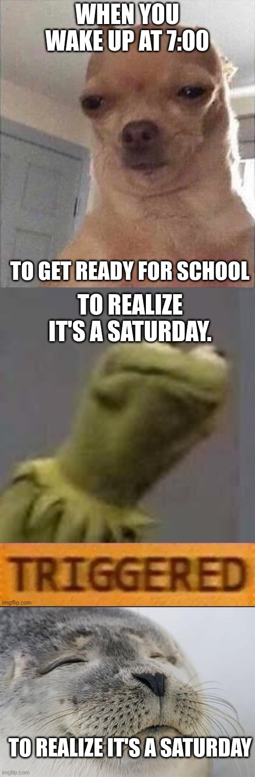 WHEN YOU WAKE UP AT 7:00; TO GET READY FOR SCHOOL; TO REALIZE IT'S A SATURDAY. TO REALIZE IT'S A SATURDAY | image tagged in chihuahua meme face,kermit triggered,memes,satisfied seal,relatable,school | made w/ Imgflip meme maker