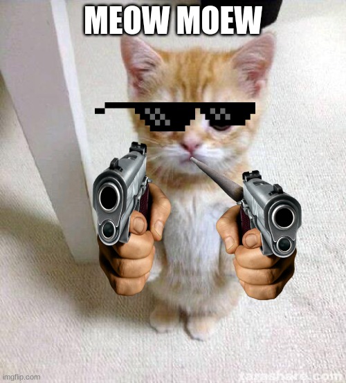 Cute Cat Meme | MEOW MOEW | image tagged in memes,cute cat | made w/ Imgflip meme maker