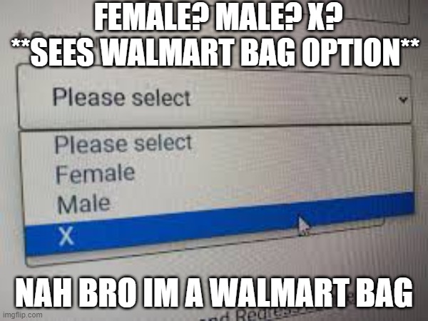 nah bro im a walmart bag | FEMALE? MALE? X? **SEES WALMART BAG OPTION**; NAH BRO IM A WALMART BAG | image tagged in walmart,lol | made w/ Imgflip meme maker
