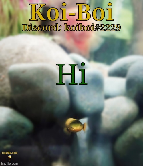 Hi | image tagged in rope fish template | made w/ Imgflip meme maker