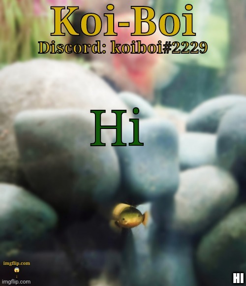 Hi HI | image tagged in rope fish template | made w/ Imgflip meme maker