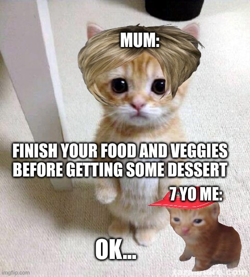 True though | MUM:; FINISH YOUR FOOD AND VEGGIES BEFORE GETTING SOME DESSERT; 7 YO ME:; OK... | image tagged in memes,cute cat,relatable memes | made w/ Imgflip meme maker
