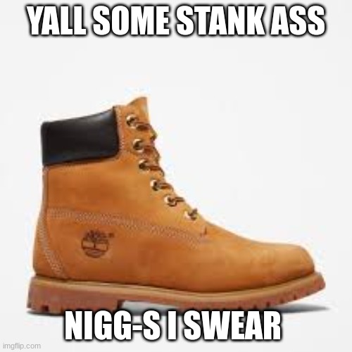 TALKING TO YOU PARMS | YALL SOME STANK ASS; NIGG-S I SWEAR | image tagged in tim | made w/ Imgflip meme maker