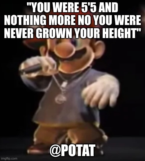 THIS IS GAS WITHOUT THE G | "YOU WERE 5'5 AND NOTHING MORE NO YOU WERE NEVER GROWN YOUR HEIGHT"; @POTAT | image tagged in rapper mairo | made w/ Imgflip meme maker