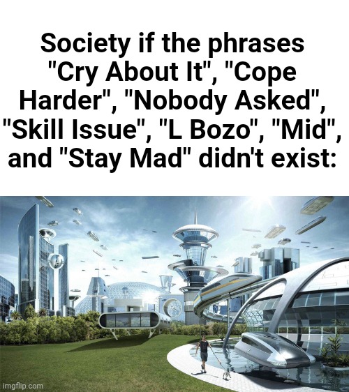 The future world if | Society if the phrases "Cry About It", "Cope Harder", "Nobody Asked", "Skill Issue", "L Bozo", "Mid", and "Stay Mad" didn't exist: | image tagged in the future world if | made w/ Imgflip meme maker