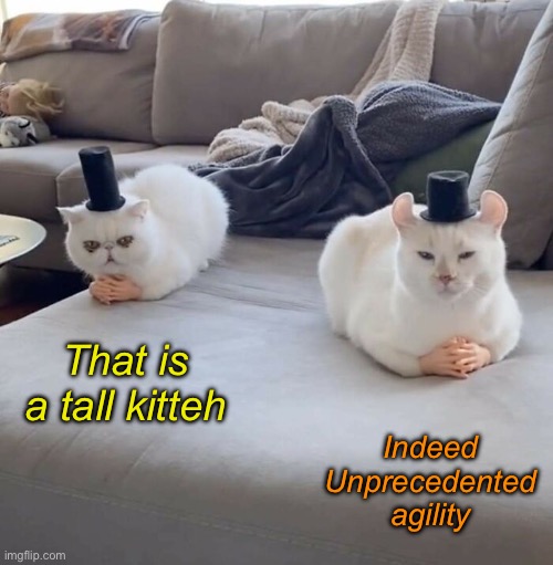 That is a tall kitteh Indeed
Unprecedented agility | made w/ Imgflip meme maker
