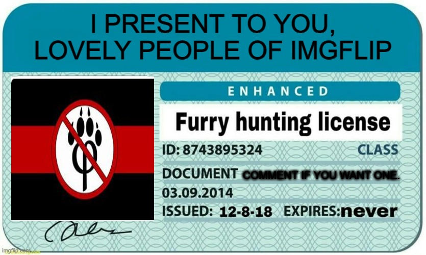 furry hunting license | I PRESENT TO YOU, LOVELY PEOPLE OF IMGFLIP; COMMENT IF YOU WANT ONE. | image tagged in furry hunting license | made w/ Imgflip meme maker