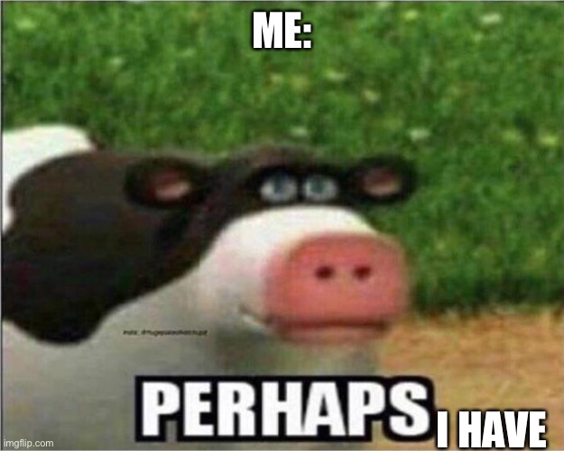 Perhaps Cow | ME: I HAVE | image tagged in perhaps cow | made w/ Imgflip meme maker