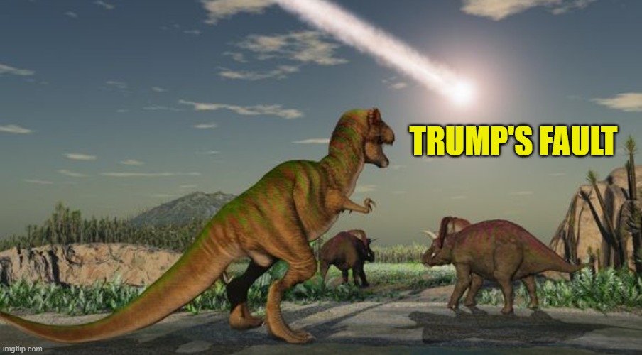 Dinosaurs meteor | TRUMP'S FAULT | image tagged in dinosaurs meteor | made w/ Imgflip meme maker