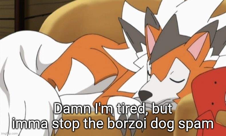 Lycanroc | Damn I'm tired, but imma stop the borzoi dog spam | image tagged in lycanroc | made w/ Imgflip meme maker