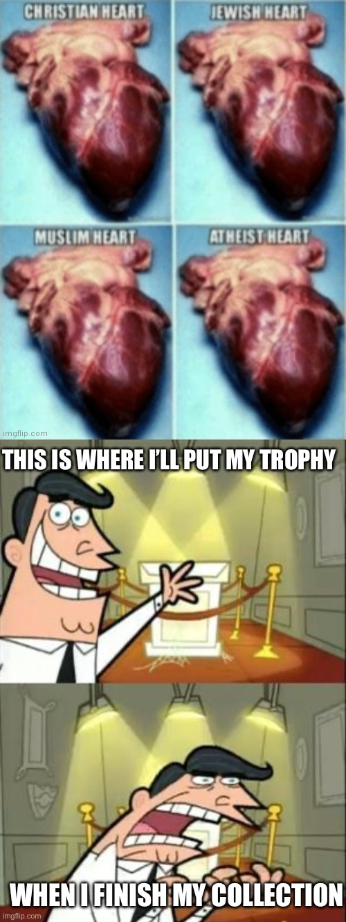 THIS IS WHERE I’LL PUT MY TROPHY WHEN I FINISH MY COLLECTION | image tagged in memes,this is where i'd put my trophy if i had one | made w/ Imgflip meme maker