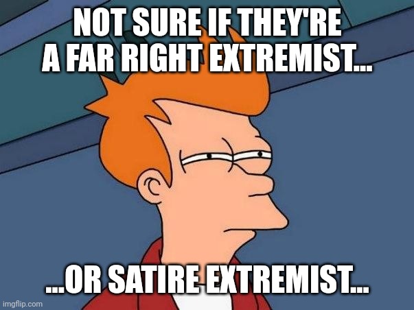 Not sure if- fry | NOT SURE IF THEY'RE A FAR RIGHT EXTREMIST... ...OR SATIRE EXTREMIST... | image tagged in not sure if- fry | made w/ Imgflip meme maker