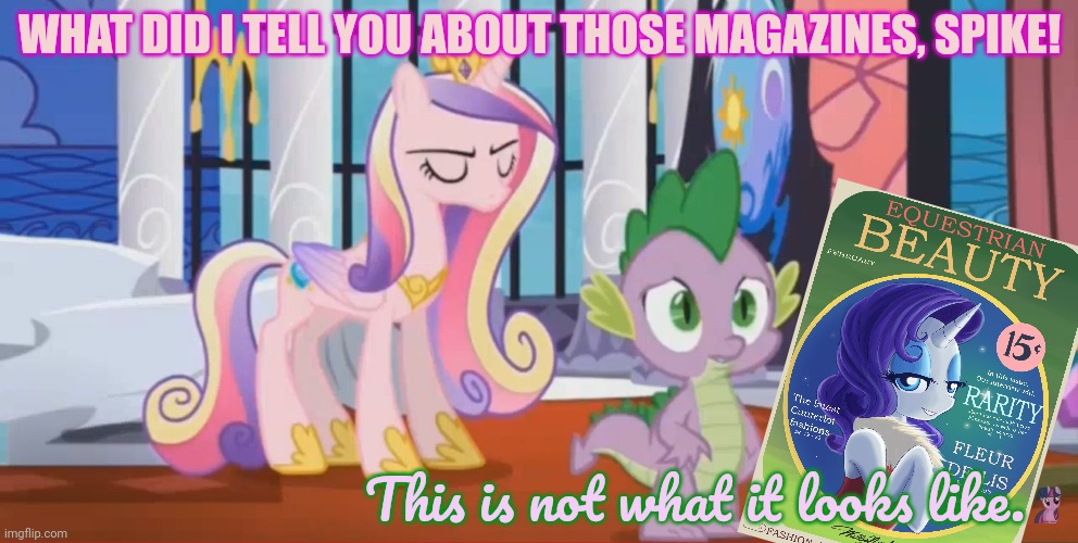 Spike problems | WHAT DID I TELL YOU ABOUT THOSE MAGAZINES, SPIKE! This is not what it looks like. | image tagged in spike,dragon,mlp,stop it get some help | made w/ Imgflip meme maker