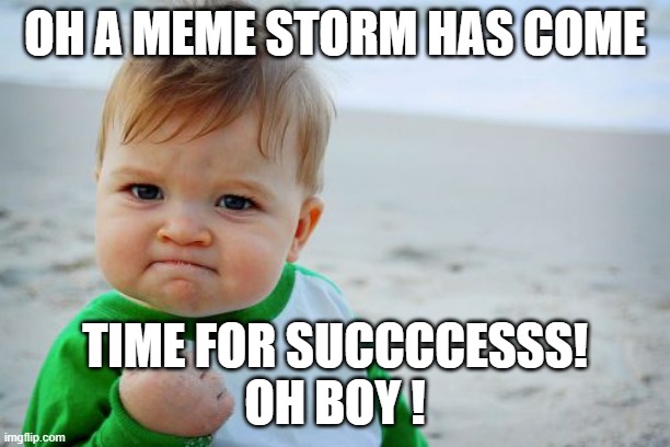 meme storm success | OH A MEME STORM HAS COME; TIME FOR SUCCCCESSS!
OH BOY ! | image tagged in memes,success kid original | made w/ Imgflip meme maker