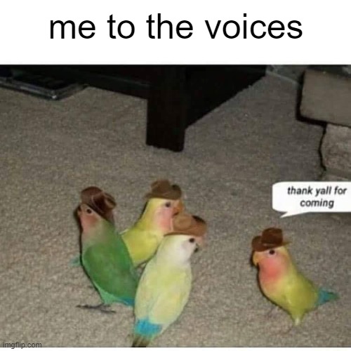 me when the voices ? | me to the voices | image tagged in thank yall for coming,voices | made w/ Imgflip meme maker