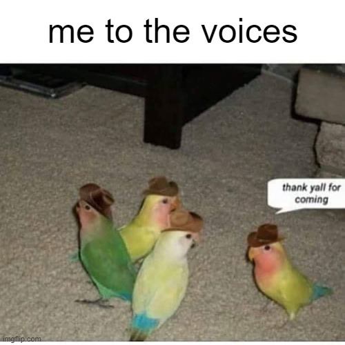 me when the voices ? | me to the voices | image tagged in thank yall for coming,voices,voices in my head,help | made w/ Imgflip meme maker