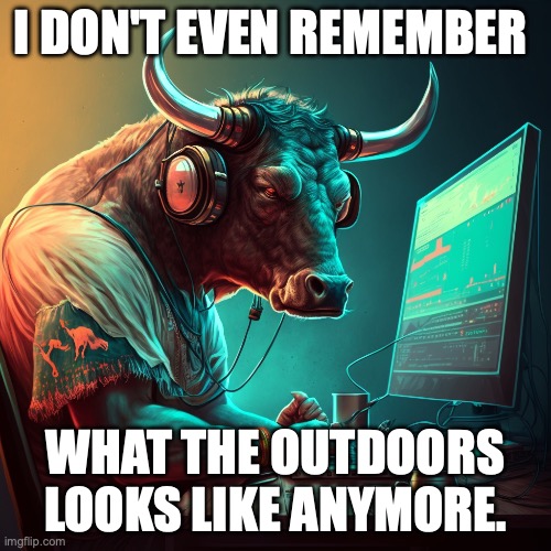 I don't even remember what the outdoors looks like anymore. | I DON'T EVEN REMEMBER; WHAT THE OUTDOORS LOOKS LIKE ANYMORE. | image tagged in gaming memes,pc gaming,online gaming,gamer,gamers | made w/ Imgflip meme maker