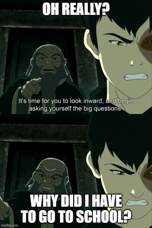 It's Time To Start Asking Yourself The Big Questions Meme | OH REALLY? WHY DID I HAVE TO GO TO SCHOOL? | image tagged in it's time to start asking yourself the big questions meme | made w/ Imgflip meme maker