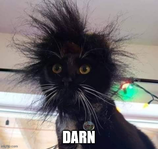 HairDay | DARN | image tagged in hairday | made w/ Imgflip meme maker