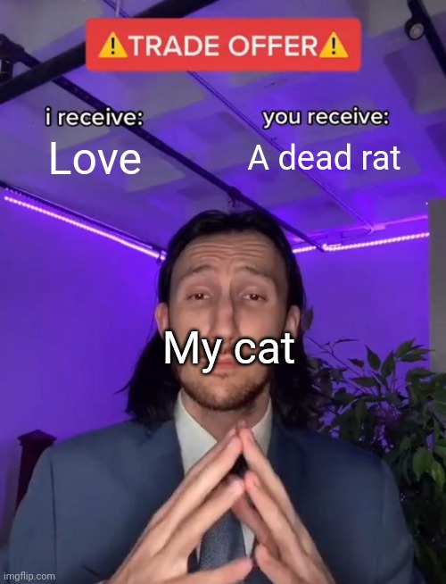 Trade Offer | Love; A dead rat; My cat | image tagged in trade offer | made w/ Imgflip meme maker