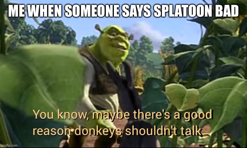 Maybe there's a good reason donkeys shouldn't talk | ME WHEN SOMEONE SAYS SPLATOON BAD | image tagged in maybe there's a good reason donkeys shouldn't talk | made w/ Imgflip meme maker