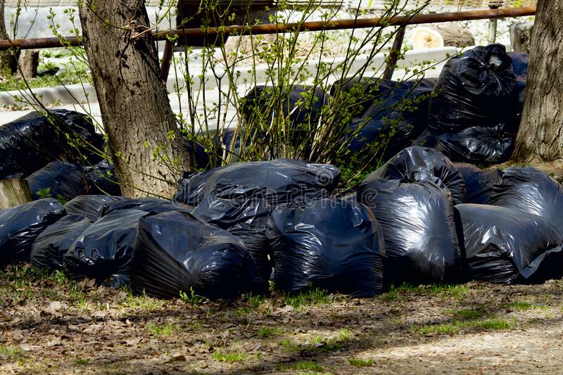 High Quality bin bag Blank Meme Template