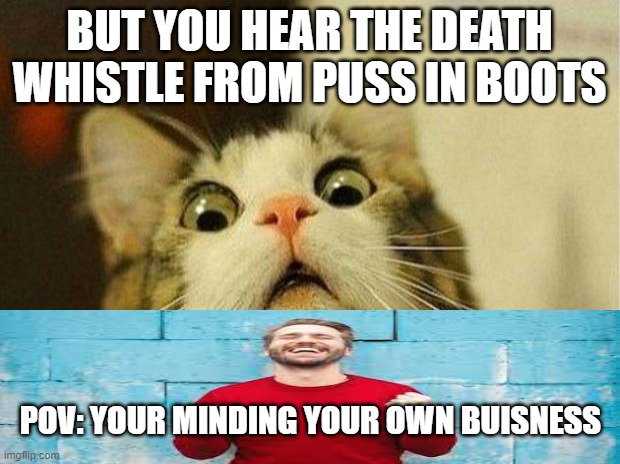 Scared Cat Meme | BUT YOU HEAR THE DEATH WHISTLE FROM PUSS IN BOOTS; POV: YOUR MINDING YOUR OWN BUISNESS | image tagged in memes,scared cat | made w/ Imgflip meme maker