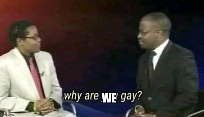 Why are you gay? | WE | image tagged in why are you gay | made w/ Imgflip meme maker