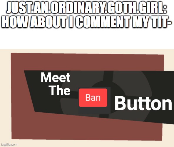 Meet the ban button | JUST.AN.ORDINARY.GOTH.GIRL: HOW ABOUT I COMMENT MY TIT- | image tagged in meet the ban button | made w/ Imgflip meme maker