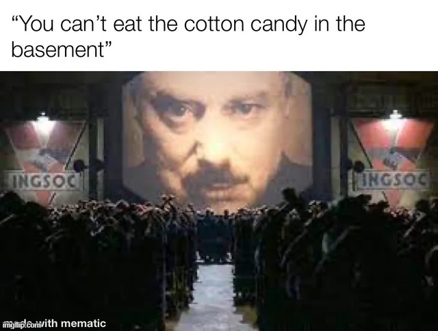 Why not? | image tagged in repost,cotton candy,1984,basement,memes,funny | made w/ Imgflip meme maker