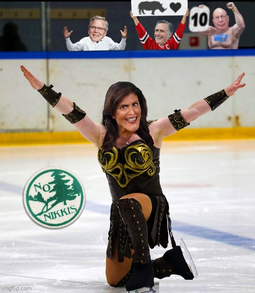 Nikki The Rino Imgflip 3409