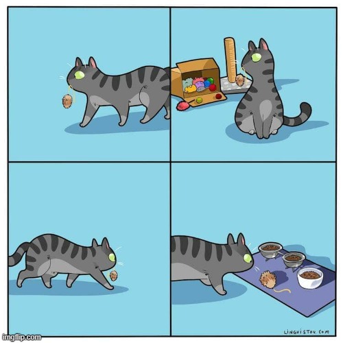 A Cat's Way Of Thinking | image tagged in memes,comics,cats,bring it,mouse,this is where i'd put my trophy if i had one | made w/ Imgflip meme maker
